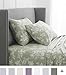 Amazon Brand – Pinzon 170-Gram Flannel Cotton Bed Sheet Set, Queen, Floral Sage Green