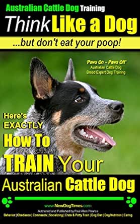 australian cattle dog training