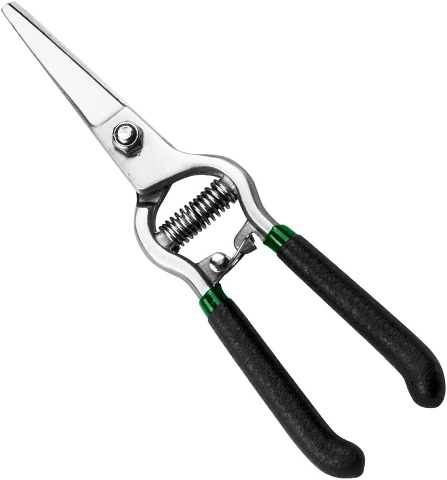 Gardtech 8" Pruning Scissors Pruning Shears Amazon.co.uk Garden