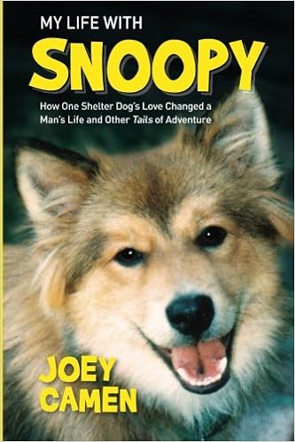 shelter dogs in my area