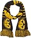 Pittsburgh Steelers 2014 Big Logo Scarf