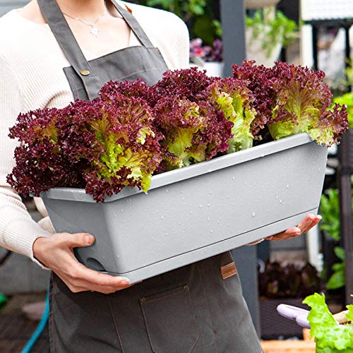 MEIYOUMK 1/3/6PC Balkontopf Pflanzkasten mit Wasserspeicher, Blumenkasten, für Küche Balkon Fensterbank Pflanzen von… – Bild 6