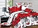 BEDnLINENS 3 Piece Set Box Stitched Red Rose Garden Prints 3D Comforter Set (Y014) Queen