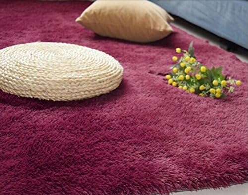 Kid Rugs, CWKTITI Modern Super Soft Kid Living Room Rugs Decorative Shaggy Floor Carpets for Kids Rooms, 2.6 Feet X 4 Feet, Wine