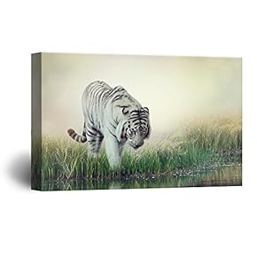 Canvas Wall Art - A White Tiger Wading in The Water - Giclee Print Gallery Wrap Modern Home Art Ready to Hang - 12x18 inches