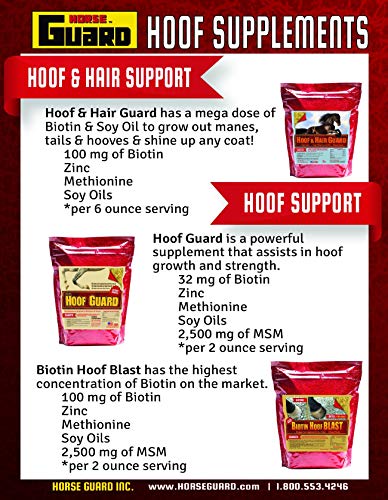 Equine Hoof Guard Concentrated Hoof Supplement For Horses With Biotin, Msm, Methionine And Zinc, 10 lb
