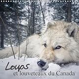 Loups Et Louveteaux Du Canada 2018: Louveteaux, Louvard Et Loups Vous Accompagneront Toute L'annee ! by 