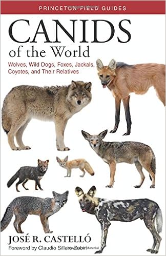 Canids Of The World Wolves Wild Dogs Foxes Jackals - 