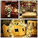 Decute 500LED 164ft Fairy String Lights Christmas Lights Indoor Outdoor Silver Wire with Remote, Firefly Lights Starry for DIY Christmas Tree Costume Wedding Party Table Centerpiece Decor(Warm White)