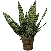 Artificial Snake Plants,Faux Snake Plant 14" Tropical Fake Plants Mini Tongue Plant for Home, Office & Garden Décor,Without Vase (4pcs) (Dark Green)