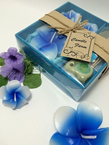 Floating Candles for SPA Flower Frangipani Aromatherapy Relax Wedding Spa Aroma Floating Candle Handcraft Gift Aromatherapy Relax Candle Set of box