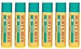 Burt Bees Lip Balm Soothing Eucalyptus & Menthol - 6 x .15 oz. Tubes