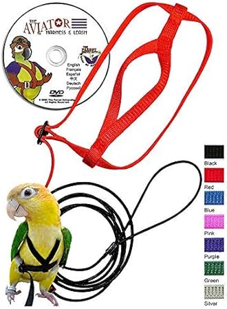 bird harness petco