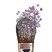 Hemway Mermaid Pink Mix Glitter Chunky Multi Purpose Dust Powder Arts & Crafts Wine Glass Decoration Weddings Flowers Cosmetic Face Eye Body Nails Skin Hair Festival 100g