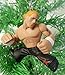 WWE Wrestling Set of 10 Wrestler Holiday Christmas Tree Ornaments Featuring RANDOM 2