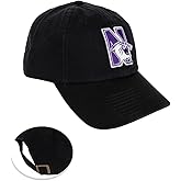 Desert Cactus Northwestern University Baseball Hat NU Wildcats Brimmed Embroidered Hats Cap Adjustable Cloth Strap Type B