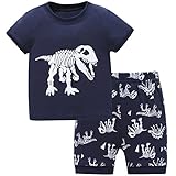Hugbug Boys Dinosaurs Pajamas Set 2-7T