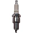 NGK Spark Plug, NGK ZGR5A, ea, 1