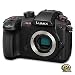 PANASONIC LUMIX GH5S Body 4K Digital Camera, 10.2 Megapixel Mirrorless Camera with High-Sensitivity MOS Sensor, C4K/4K UHD 4:2:2 10-Bit, 3.2-Inch LCD, DC-GH5S (Black) primary