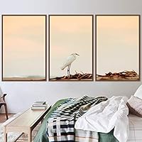 3 Piece Framed Canvas Wall Art Beach Birds Canvas Prints Home Artwork Decoration for Living Room,Bedroom - 16