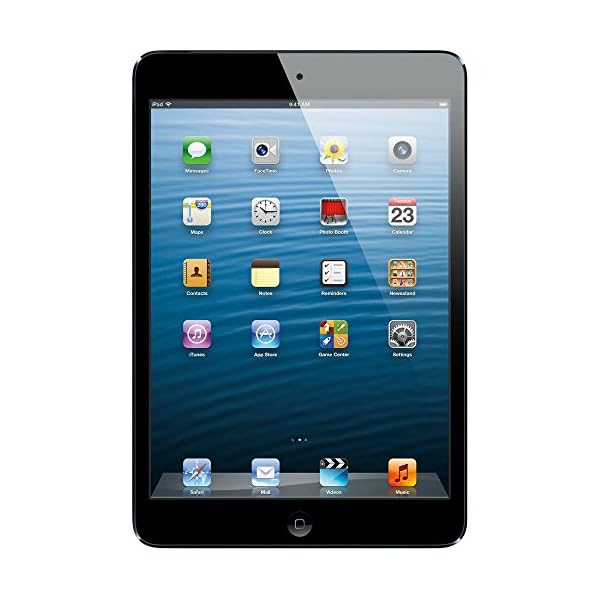 Apple iPad Mini FD528LL/A - MD528LL/A (16GB, Wi-Fi, Black) (Renewed)