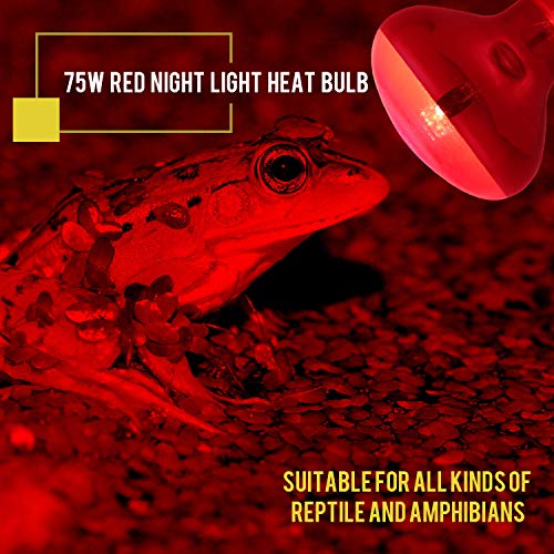 OMAYKEY 75W Infrared Spot Heat Lamp Bulb Red Light Glass Heating Lamps Bulbs for Lizard Snake Chameleon Bearded Dragon Aquarium Reptile & Amphibian - 2 Pack