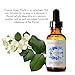 Laritelle Organic Hair Growth Complex | Hair Loss Treatment 4 oz + Hormonal Balance & Thyroid Support Treatment 1 oz | Balances Hormones, Nourishes Hair Follicles, Promotes New Hair Growth | GMO-free