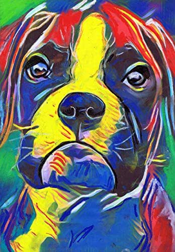 Amazon.com: Colorful Boxer Dog Wall Art Print, Boxer Dog Gift, Boxer