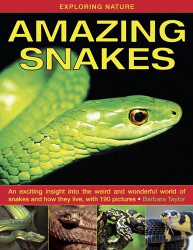 Exploring Nature: Amazing Snakes: an Exciting Insight into the Weird and Wonderful World of Snakes and How They Live, with 190 Pictures