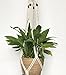 2PCS Macrame Plant Hanger Indoor Outdoor Hanging Planter Basket Cotton Rope 4 Legs 39 Inch