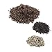 H Potter Terrarium Kit Succulent Soil Supplies for Plants Cactus Planters for Kids with Activated Charcoal from