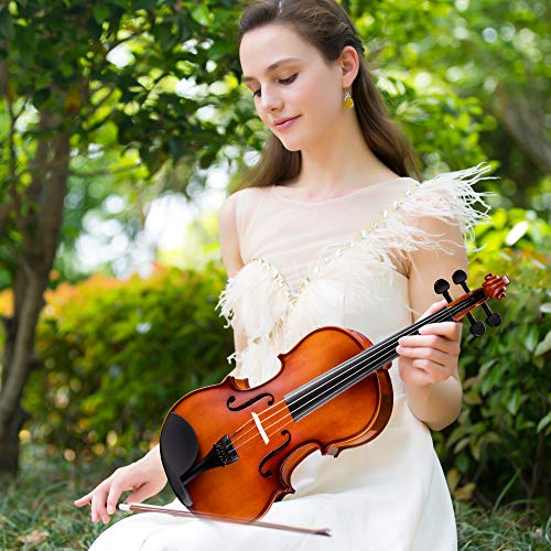 Winzz-Violine-Voller-Gre-44-Ausstattung-Massivholz-Schler-Erwachsene-Anfnger-Violinenset-Braun