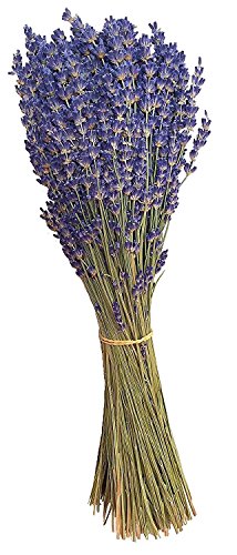 image for Aodicon Natural Lavender Dried Flower Bundles - 200 Stems - Can Be Use