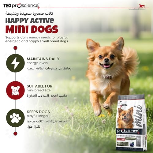 Teo Premium Proscience Mini Adult Dog Food 2KG Lamb & Blueberry + Fish Oil Sensitive Digestion, Hypoallergenic, 75% Animal Protein, Omega 3 & 6, 32% Protein, 15% Fat Joint Support Formula
