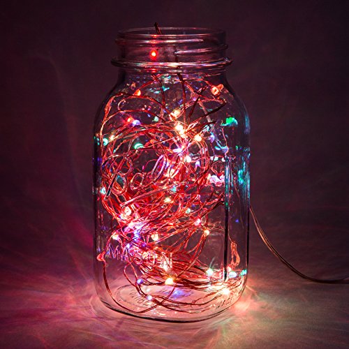 Hometown Evolution, Inc. Fairy Lights- 6 Foot Battery Powered Micro LED on Copper Wire - Color Changing Blinking