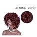 AISI HAIR Synthetic Afro Curly Hair Wigs Full Red Wig Short Curly Wigs for Women Kinky Curly(red)