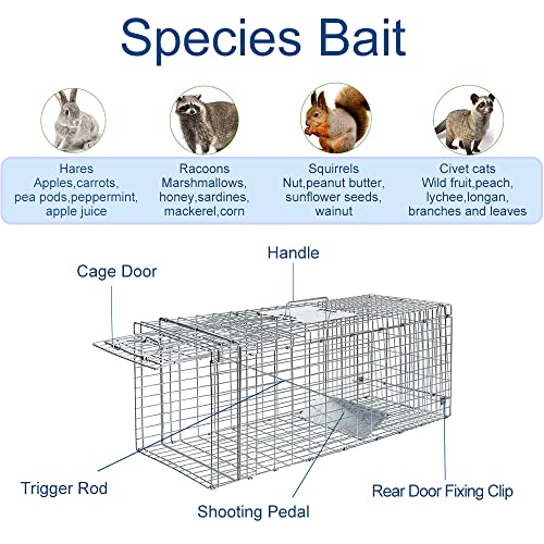 Stray Animal Trap Large Foldable Humane Homeless Cat Trap with Metal Crate | 2 Doors Catching/Release Stray Cats and Dogs, for Raccoon Bobcats Beavers Groundhogs Opossums Armadillos Outdoor