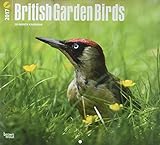 British Garden Birds 2017 Square by 