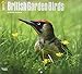 British Garden Birds 2017 Square by 