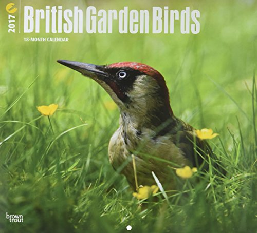 British Garden Birds 2017 Square by 