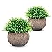 ODOM Small Fake Plants Bathroom Decor, 2 Pcs Mini Artificial Plants in Pots Indoor, Faux Potted Plants Plastic Greenery for Farmhouse Home Shelf Living Room Office Desk Bedroom Table Decorations