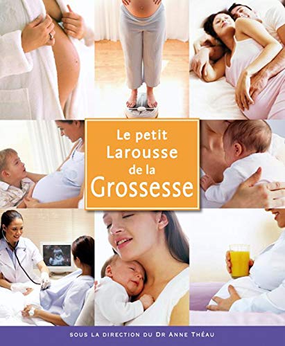 Amazon Fr Le Petit Larousse De La Grossesse Theau Anne Livres Amazon Fr Le Petit Larousse De La Grossesse Theau Anne Livres