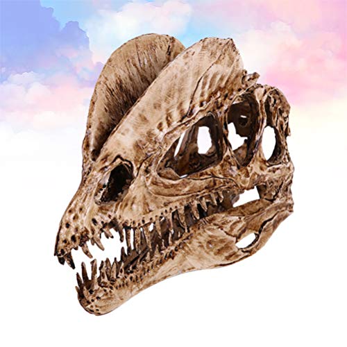 skeleton aquarium decorations