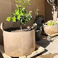 PEYOU Bolsa de Cultivo de Plantas 20L(5 Piezas), Saco para Plantas ...