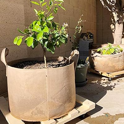 PEYOU Bolsa de Cultivo de Plantas 20L(5 Piezas), Saco para Plantas ...