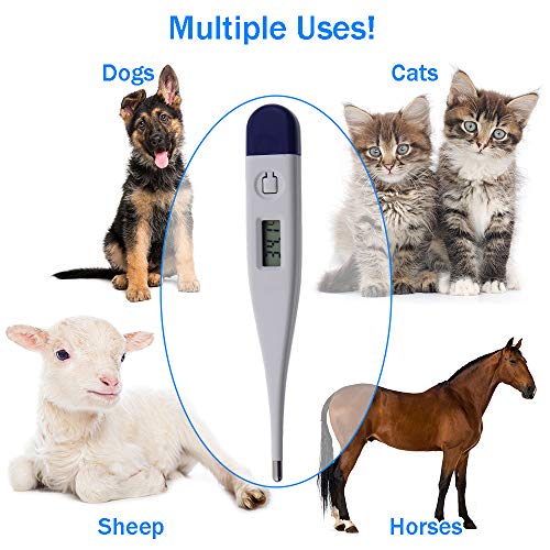 Veterinary Thermometer Vets Rapid Response Animals Dogs Horses Pets - Thumbnail 4