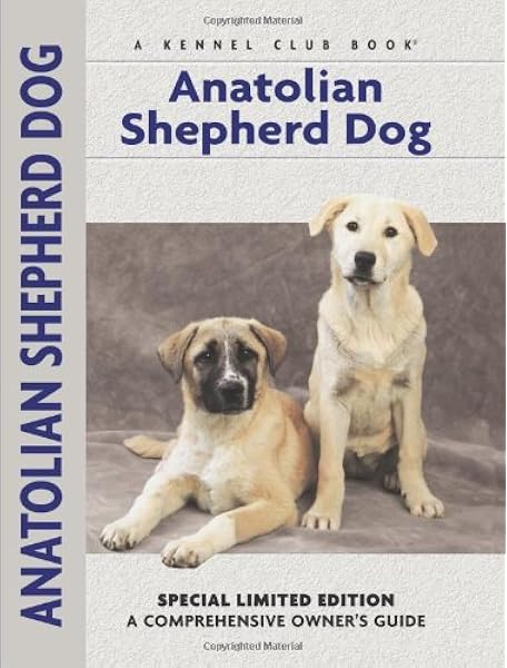 anatolian shepherd breed standard