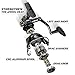 Sougayilang Fishing Reel, Light Smooth Bass Gear Spinning Casting Left Right Saltwater Freshwater Fishing Reels