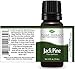 Plant Therapy Jack Pine Essential Oil. 100% Pure, Undiluted, Therapeutic Grade. 10 ml (1/3 oz).