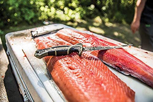 Gerber Anglermesser mit Scheide und Schleifstein, Controller 10ââ, Klingenlänge: 26 cm, 30-001450 – Bild 6